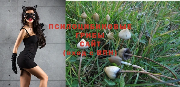 PSILOCYBIN Инсар