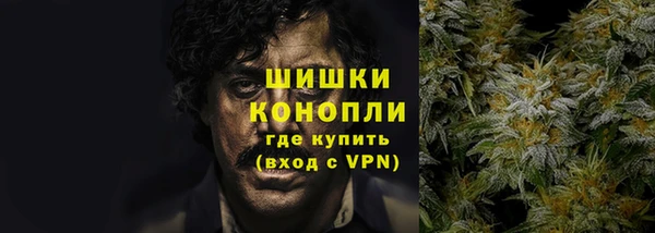 мяу мяу мука Иннополис