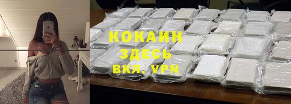 PSILOCYBIN Инсар