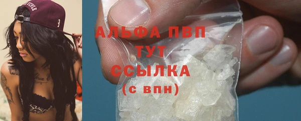 PSILOCYBIN Инсар