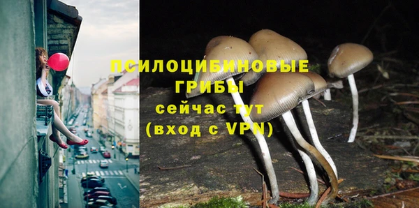 мяу мяу мука Иннополис