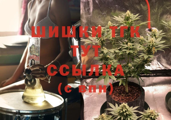 PSILOCYBIN Инсар