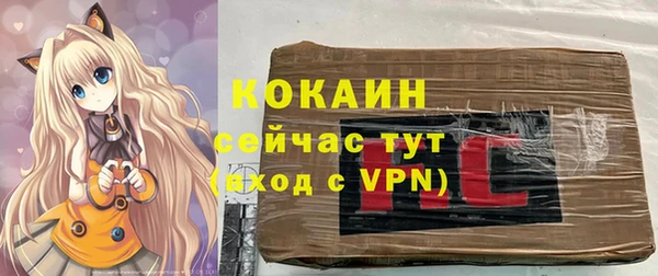 мяу мяу мука Иннополис