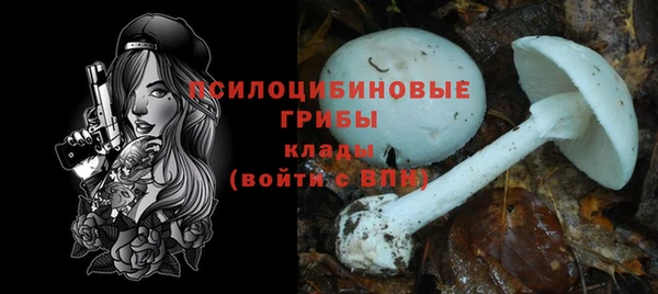 прущий лед Инта