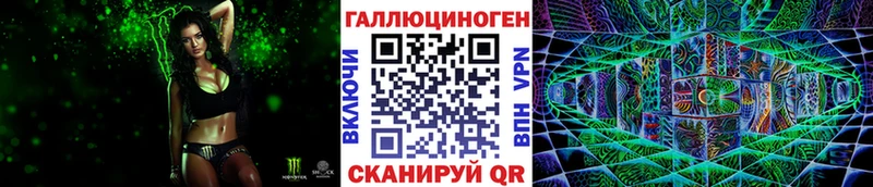 Купить где  Барыш  Галлюциногенные грибы Psilocybe 